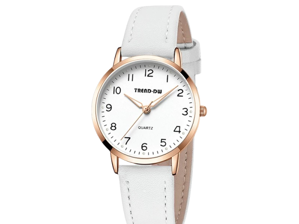 Men's Mechanical Watches 322BQ14