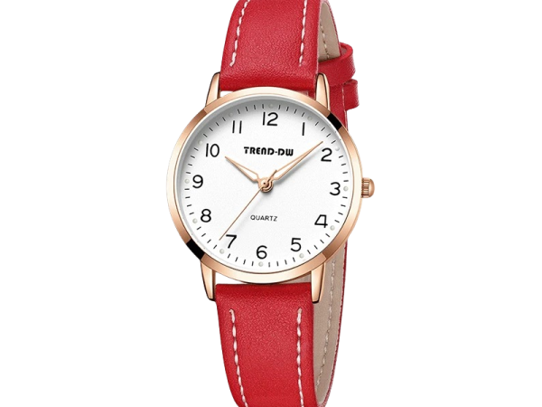 Men's Mechanical Watches 322BQ21