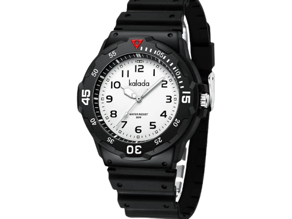 Men's Mechanical Watches 322BQ22