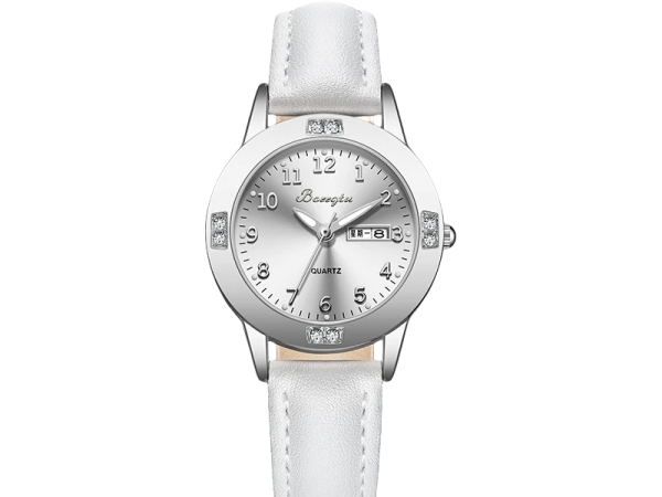 Men's Mechanical Watches B1U2Y21