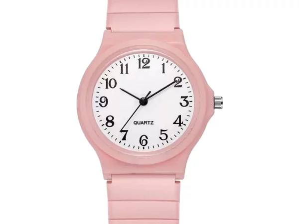 Men's Mechanical Watches B1U2Y24