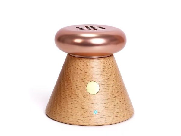 Aromatherapy-diffuser-m171121