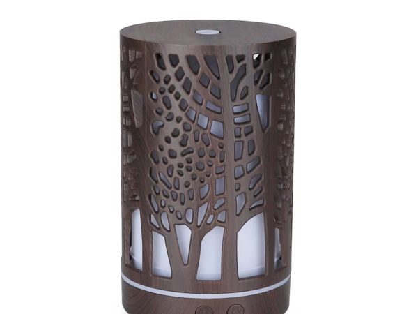 Aromatherapy-diffuser-m171131